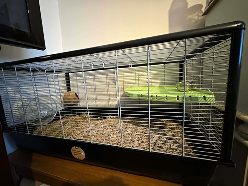 Little friends rat cage with - rat,