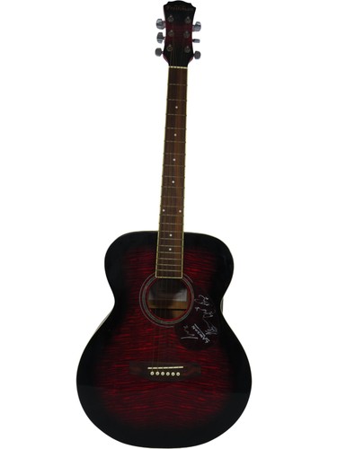 Freshman acoustic guitar - freshman,