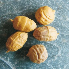 Enterprise Tackle Imitation Sinking Tiger Nuts Carp Tench Barbel Coarse Fishing