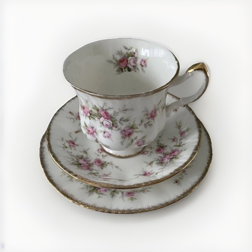 Paragon fine bone - fine,