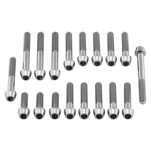 Titanium engine kit aprilia - kit,