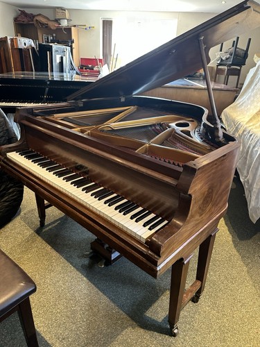 Lestel baby grand polished - lestel,