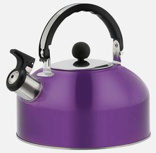 Stainless Steel Whistling