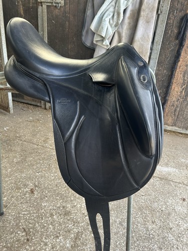 2023 black makila - lab, dressage