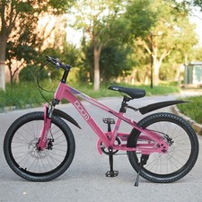 NEW 18-22 Inch Kids Bike Girls Mountain Bike Disc Break Bicycle W/Mudguard Pink