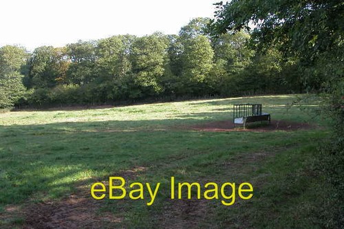 Cattle feeder - cattle, in