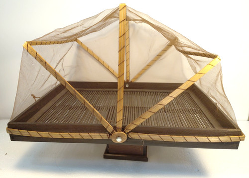 Covered food serving - covered,