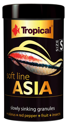 Tropical asia sinking - tropical,