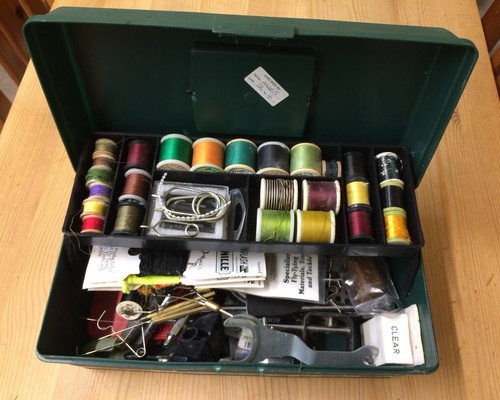 Green plastic box with fly - green,
