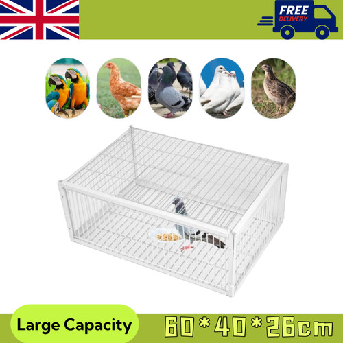 Pigeon trap cage door - trap,