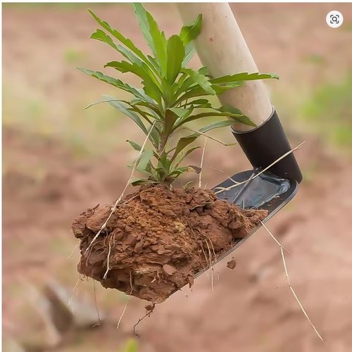 Garden hand hoe small digging - hoe,