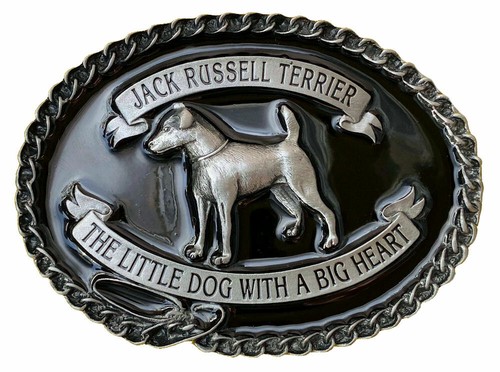 Jack russell terrier - terrier, belt