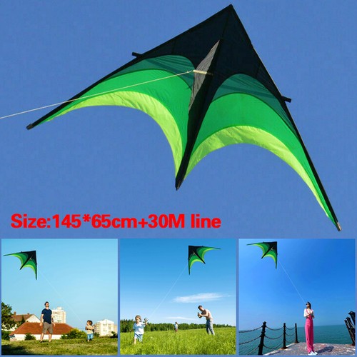 Large delta beach kite easy - kite,