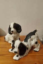 A pair of black and white