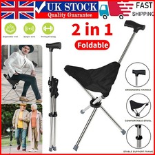 Walking Stick with Seat Height