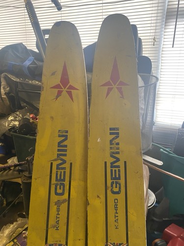 Vintage gemini kathro water - vintage,