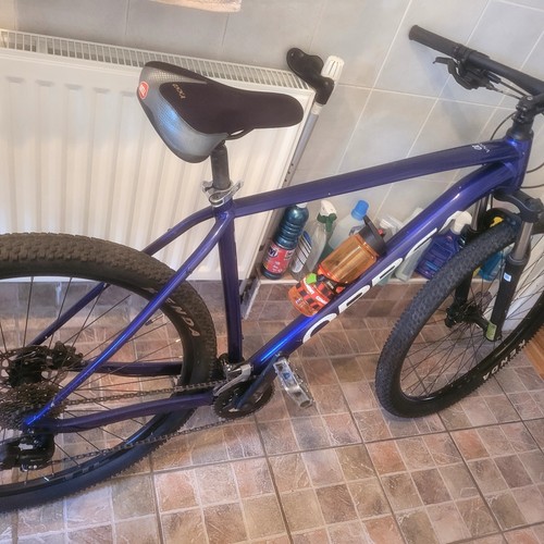 Orbea onna mountain - orbea, bike