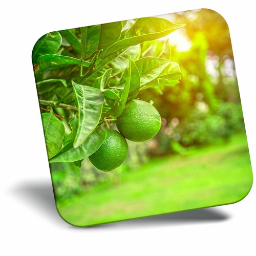 Awesome fridge magnet citrus - -,