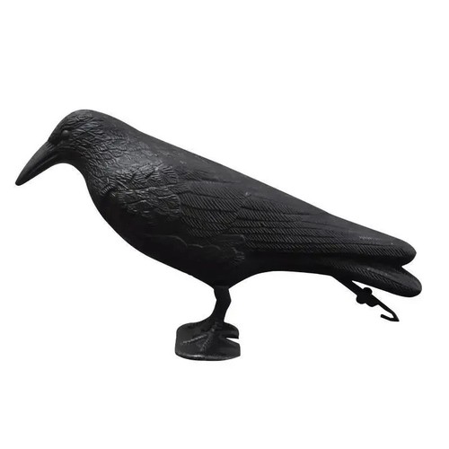 Life size crow decoy bird - size,