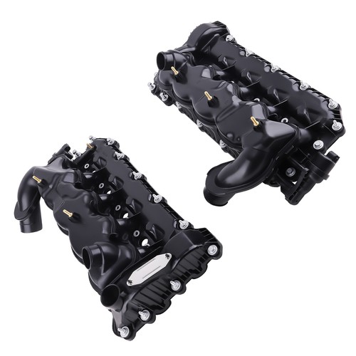 Pair inlet intake - manifold, for