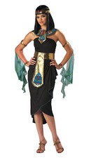 Ladies Egyptian Queen Cleopatra Costume Deluxe Womens Egypt Goddess Fancy Dress