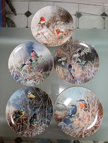 Coalport bone china plates - china,