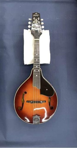 The kasuga mandolin - the,