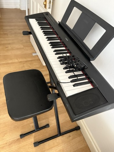 Casio electric piano - electric,