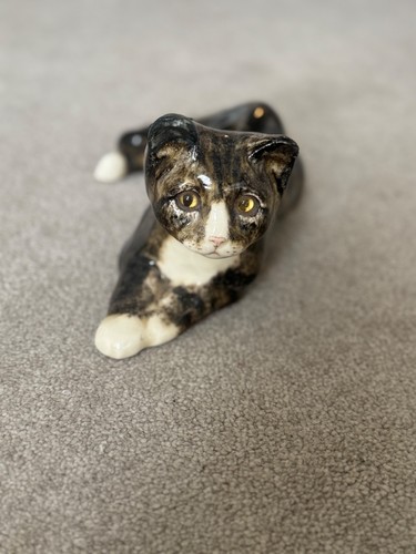 Winstanley cat size tabby - winstanley,