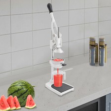 Commercial Manual Juicer, Juice Extraction Machine, Hand Press Juice Extractor