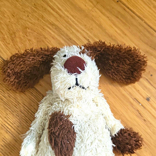 Retired jellycat dog - dog, plushie