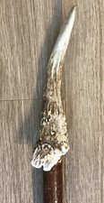 Stag Horn Hazel Walking Stick