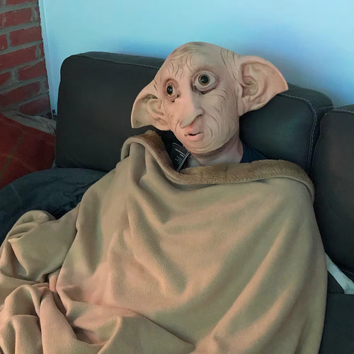 Cosplay magic dobby elf - dobby, world
