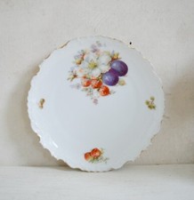 Rare Vintage Porcelain Flower and Fruit Plate, Seltmann Weiden Bavaria Germany