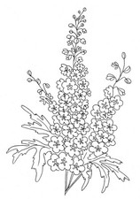 Embroidery Transfer Iron On