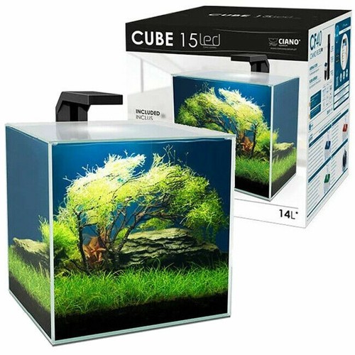 Ciano shrimp aquarium - ciano,