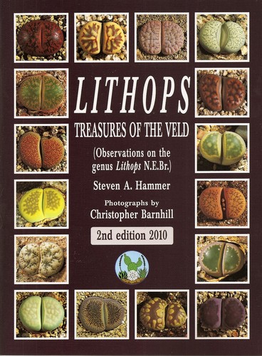 Lithops treasures of the - treasures,