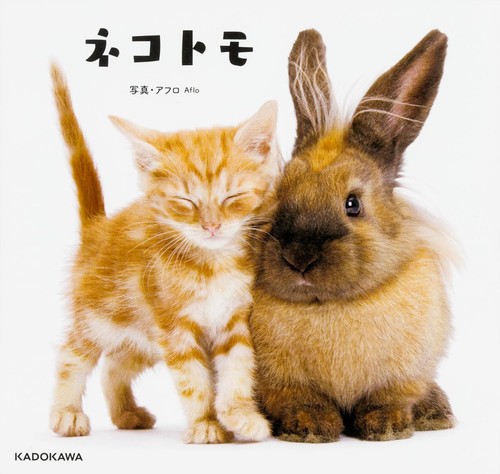 Neko tomo cat friends - neko,