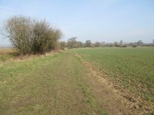 Photo A2 Path to Old Park Lane