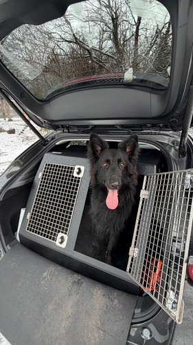 Dog box travel crate - box,