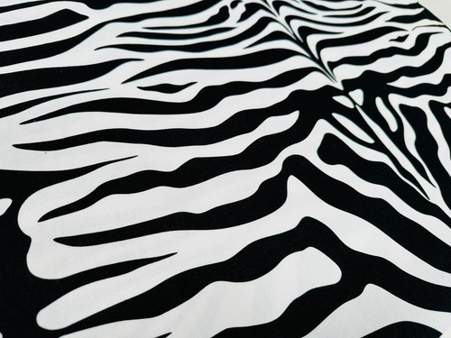 Zebra spine print - zebra,