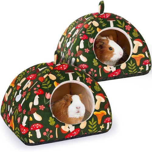 Guinea pig nest - nest, set