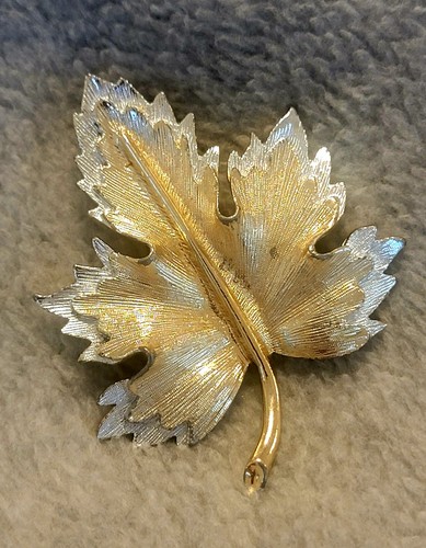 Vintage sarah coventry gold - sarah,