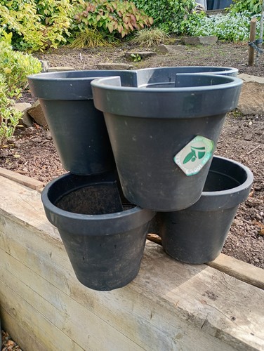 Tripots litre plastic plant - 10,