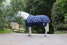 WHITAKER 100G TURNOUT HORSE RUGS