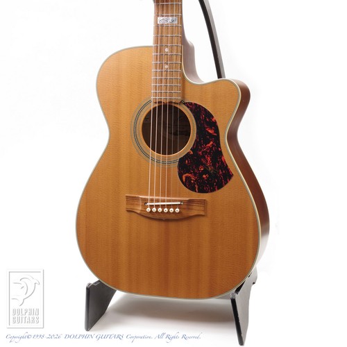 Maton ebg808cte - maton,