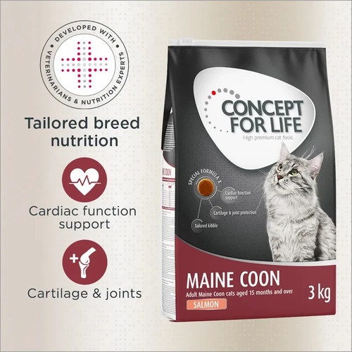 Concept for life maine coon - for,