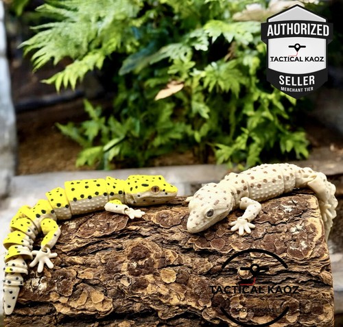 Articulated leopard gecko - leopard,