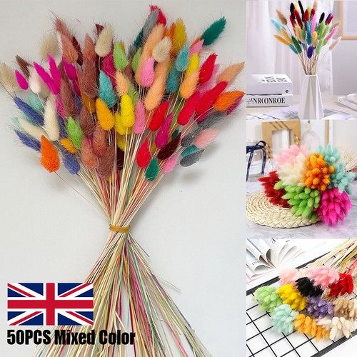 50pcs mixed natural dried - mixed,