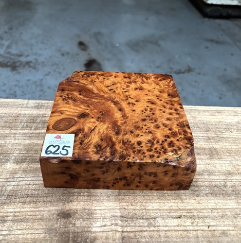 Thuya burr 6 x - 6, 2”